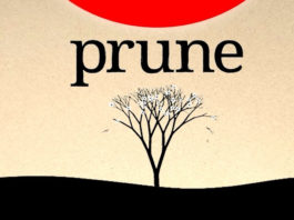 Recensione Prune – Una Cura per la Natura e per Se stessi